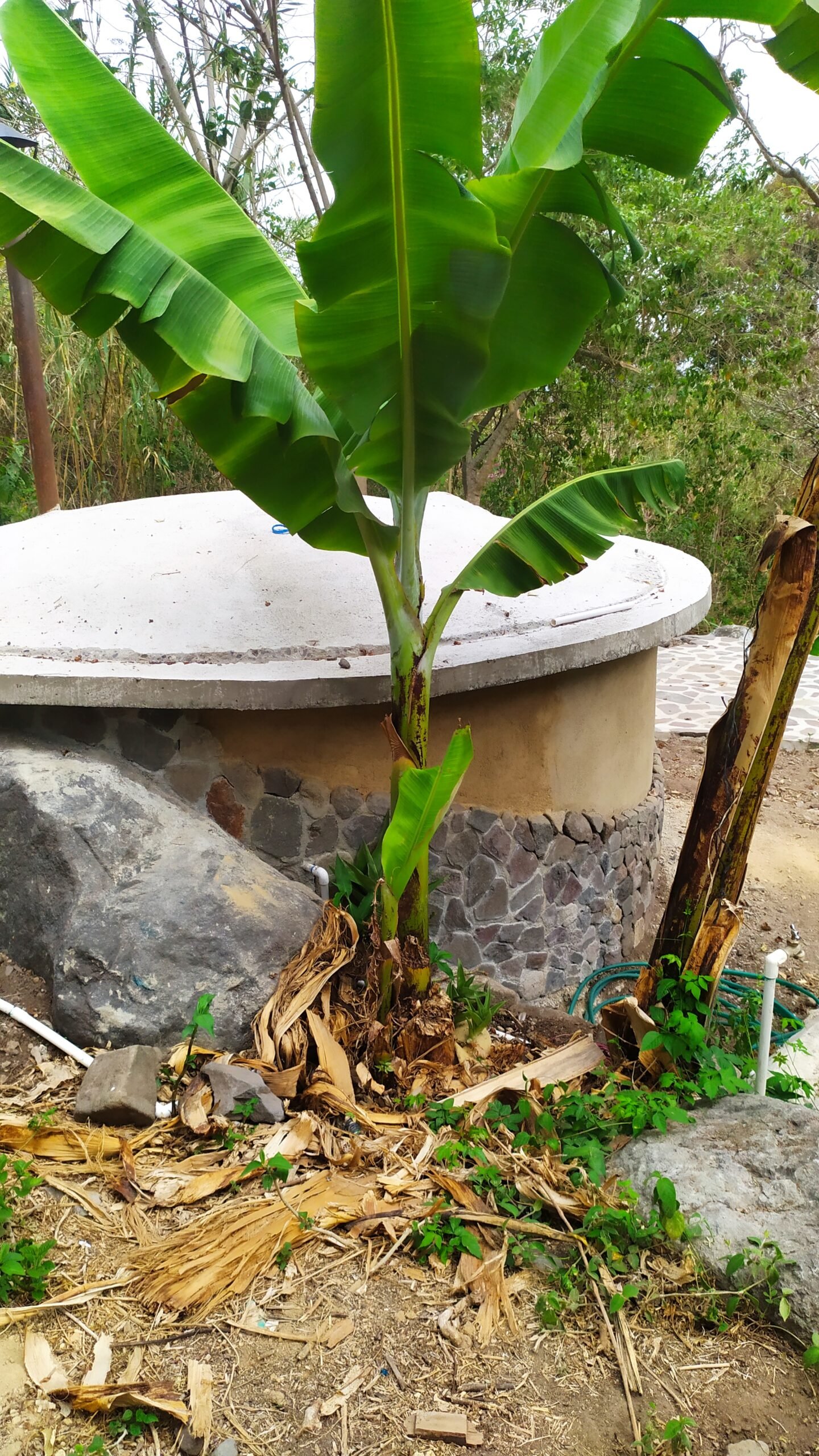 Mayan Temazcal